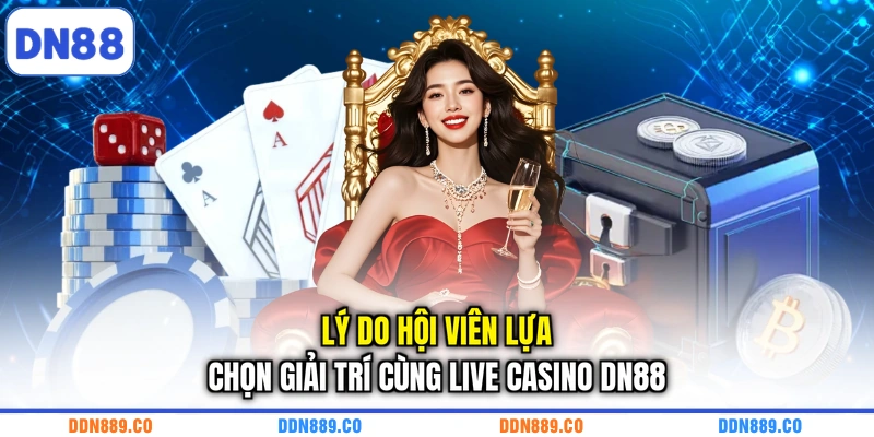 Lý do hội viên lựa chọn giải trí cùng live casino DN88