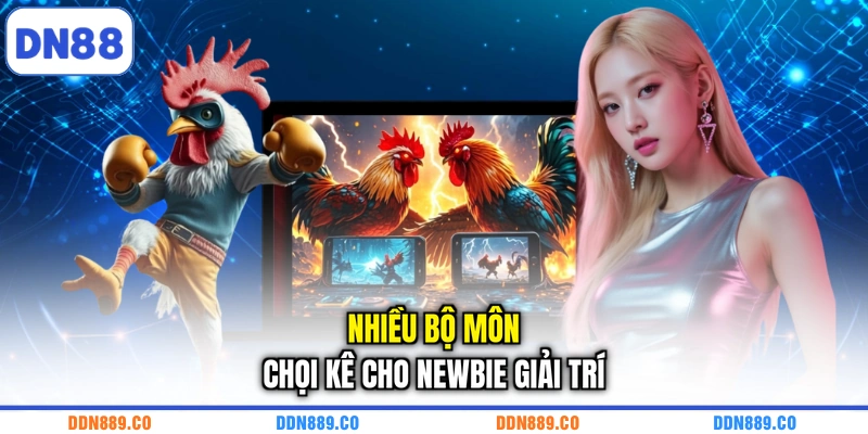 Nhiều bộ môn chọi kê cho newbie giải trí
