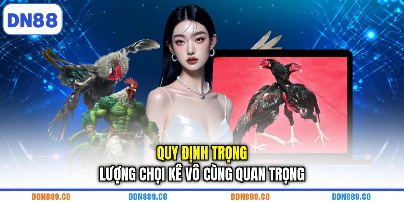 Quy định trọng lượng chọi kê vô cùng quan trọng