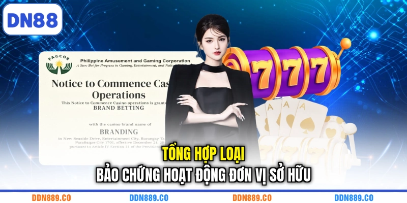 Tổng hợp loại bảo chứng hoạt động đơn vị sở hữu