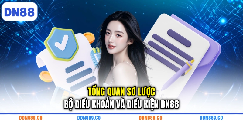 Tổng quan sơ lược bộ điều khoản và điều kiện DN88