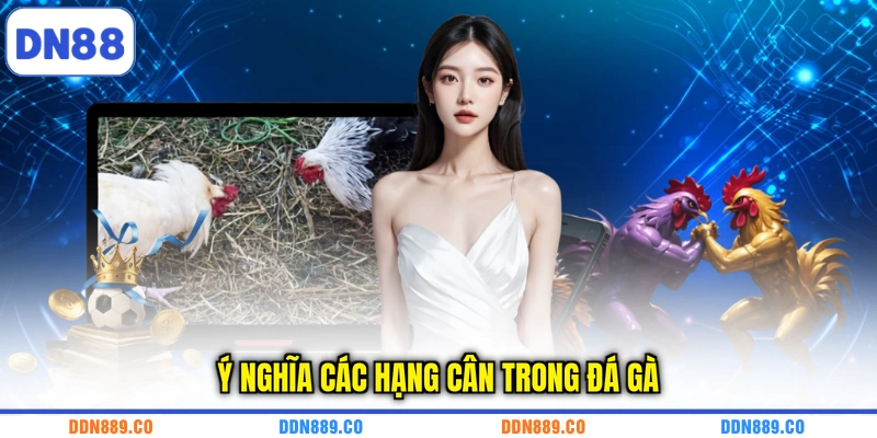 Ý nghĩa các hạng cân trong đá gà